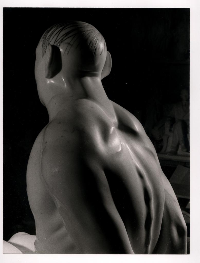 fronte