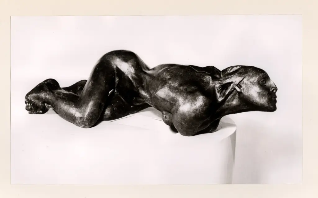 Anonimo, Anonimo , fronte