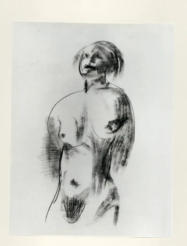 Anonimo, Anonimo , fronte