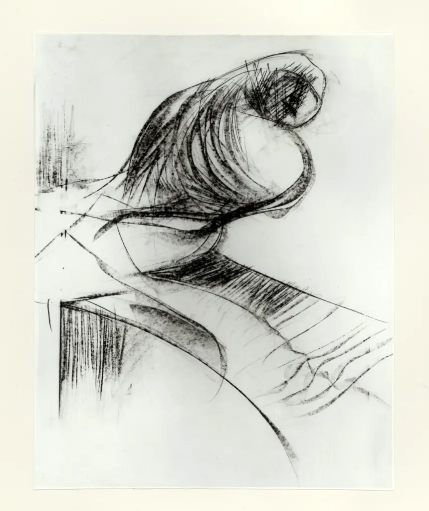 Anonimo, Anonimo , fronte