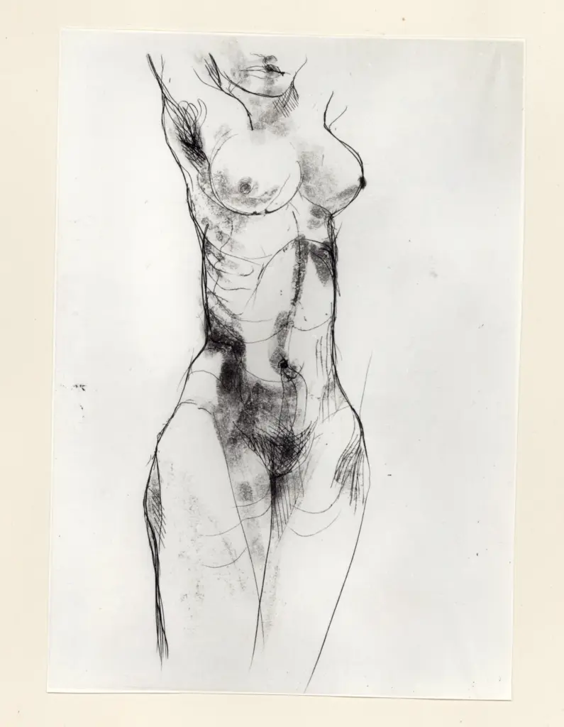 Anonimo, Anonimo , fronte