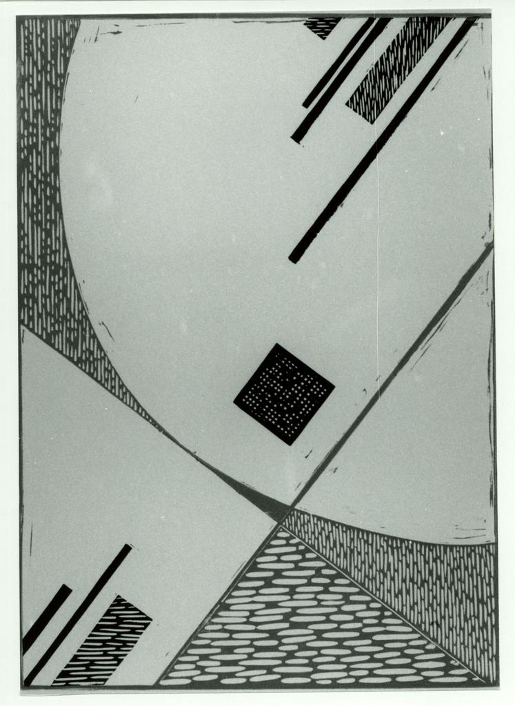 Veronesi, Luigi , Struttura Y