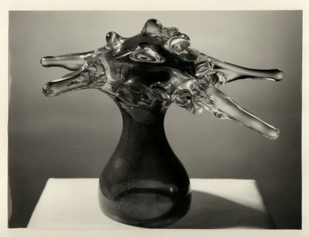 Cameraphoto , fronte