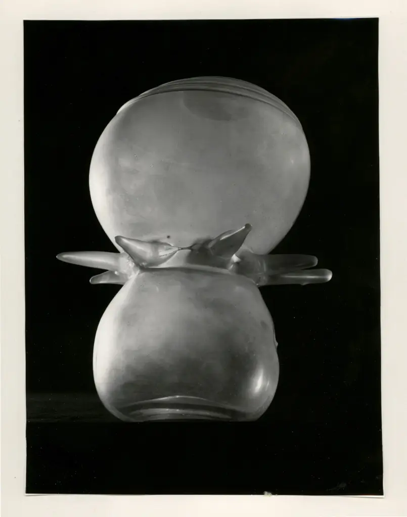 Fei Toso, Ferdinando ; Vianello, Vinicio , Reazione nucleare