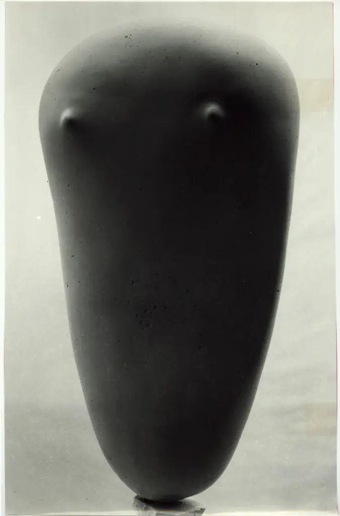 Anonimo, Anonimo , fronte