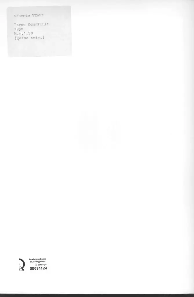 Anonimo, Anonimo , retro