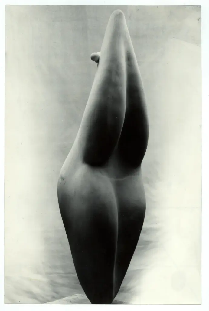 Anonimo, Anonimo , fronte