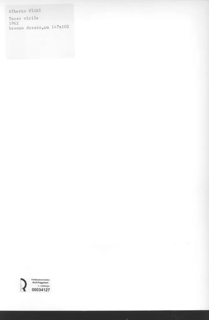 Anonimo, Anonimo , retro