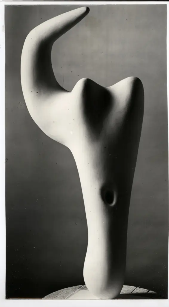 Anonimo, Anonimo , fronte