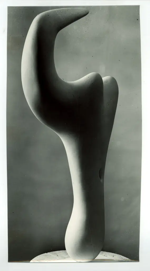 Anonimo, Anonimo , fronte