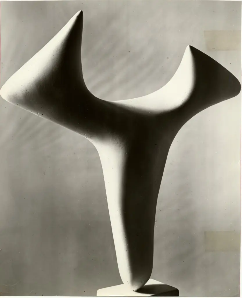 Anonimo, Anonimo , fronte