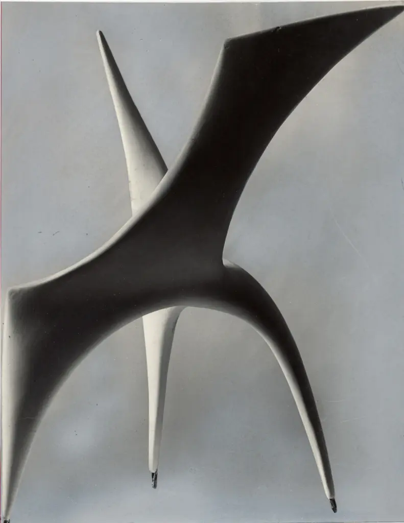 Anonimo, Anonimo , fronte