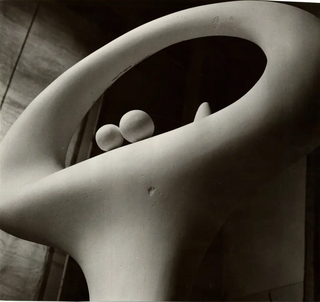 Anonimo, Anonimo , fronte