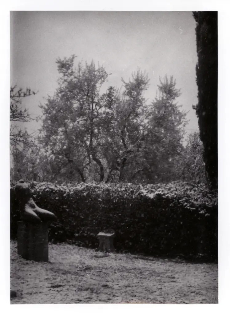 Anonimo, Anonimo , fronte