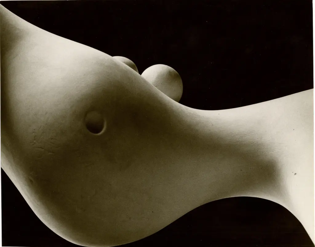 Anonimo, Anonimo , fronte