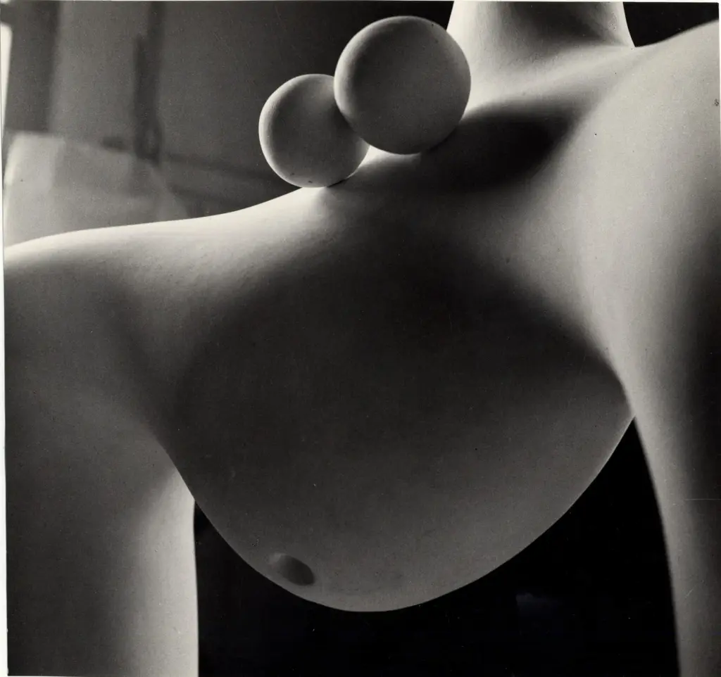 Anonimo, Anonimo , fronte