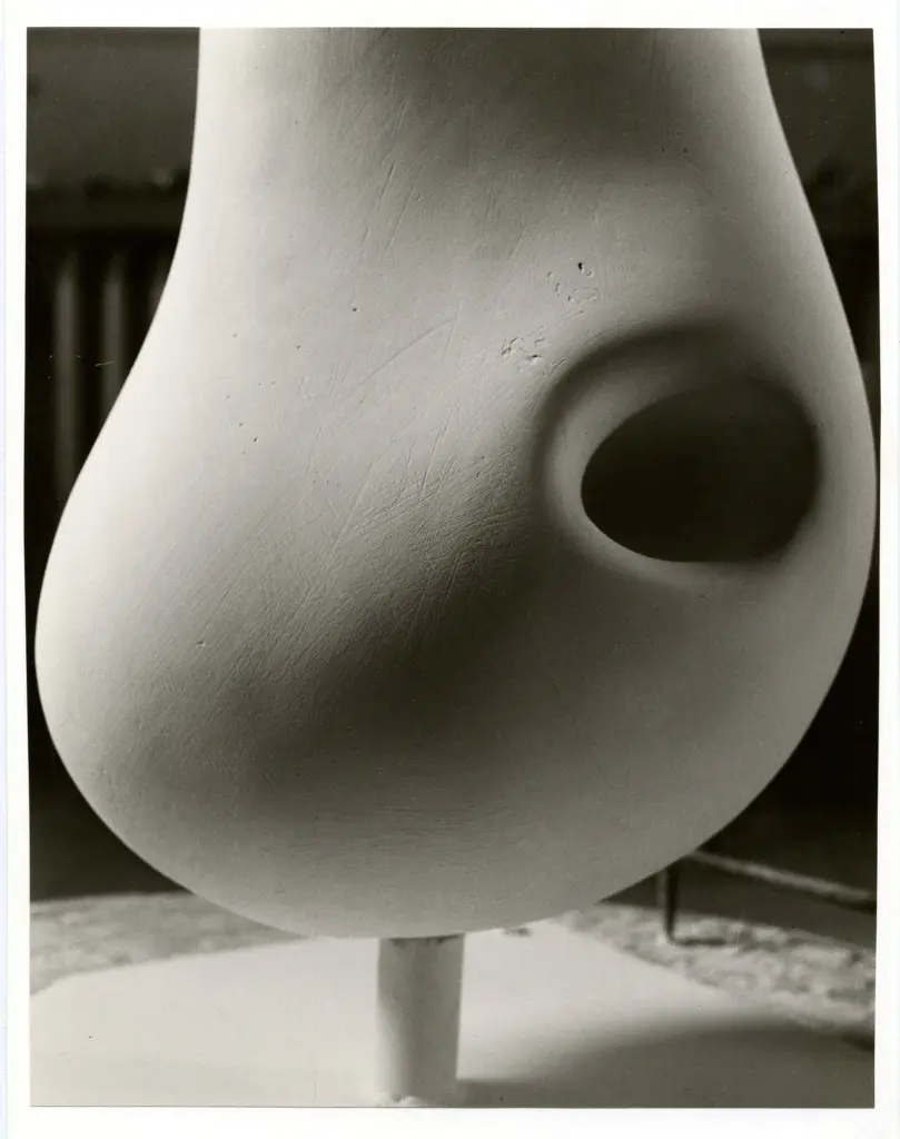 Anonimo, Anonimo , fronte