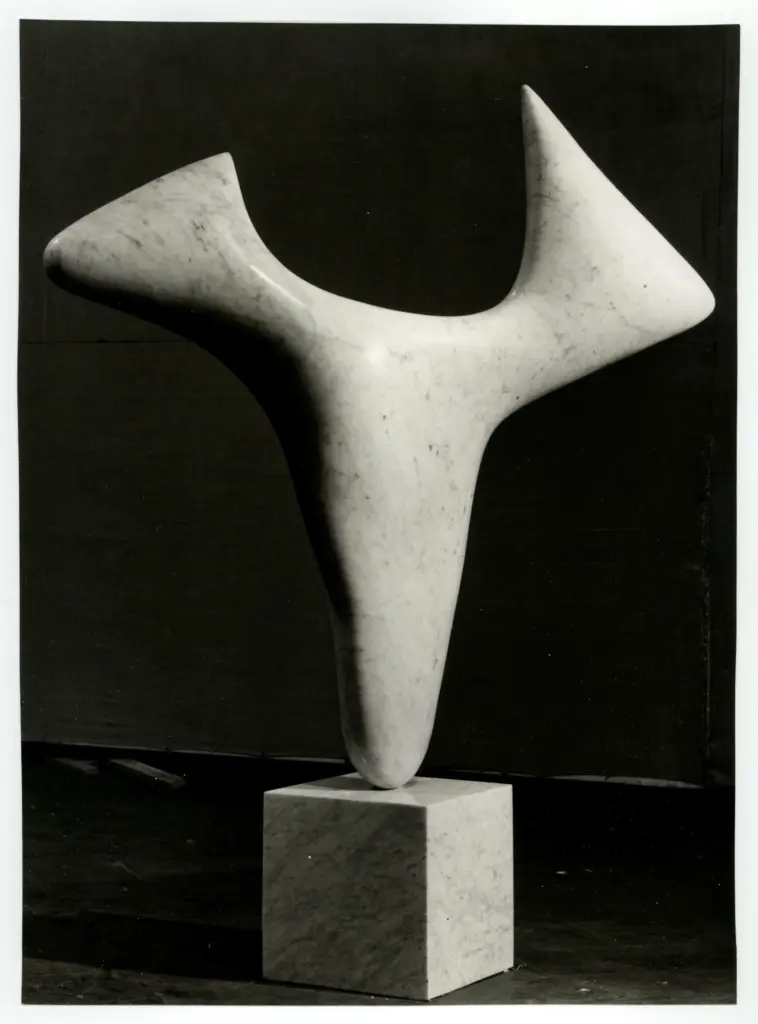 Anonimo, Anonimo , fronte