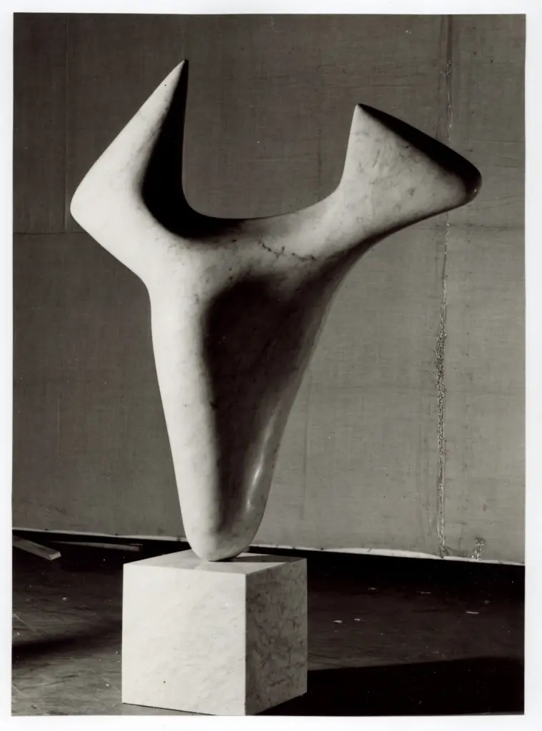 Anonimo, Anonimo , fronte