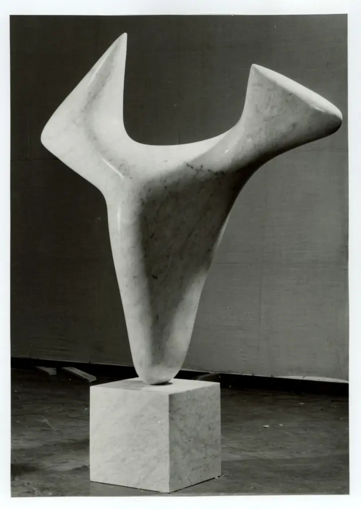 Anonimo, Anonimo , fronte