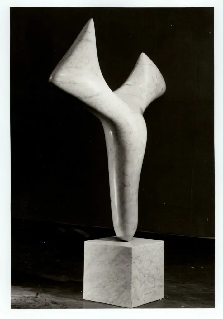 Anonimo, Anonimo , fronte