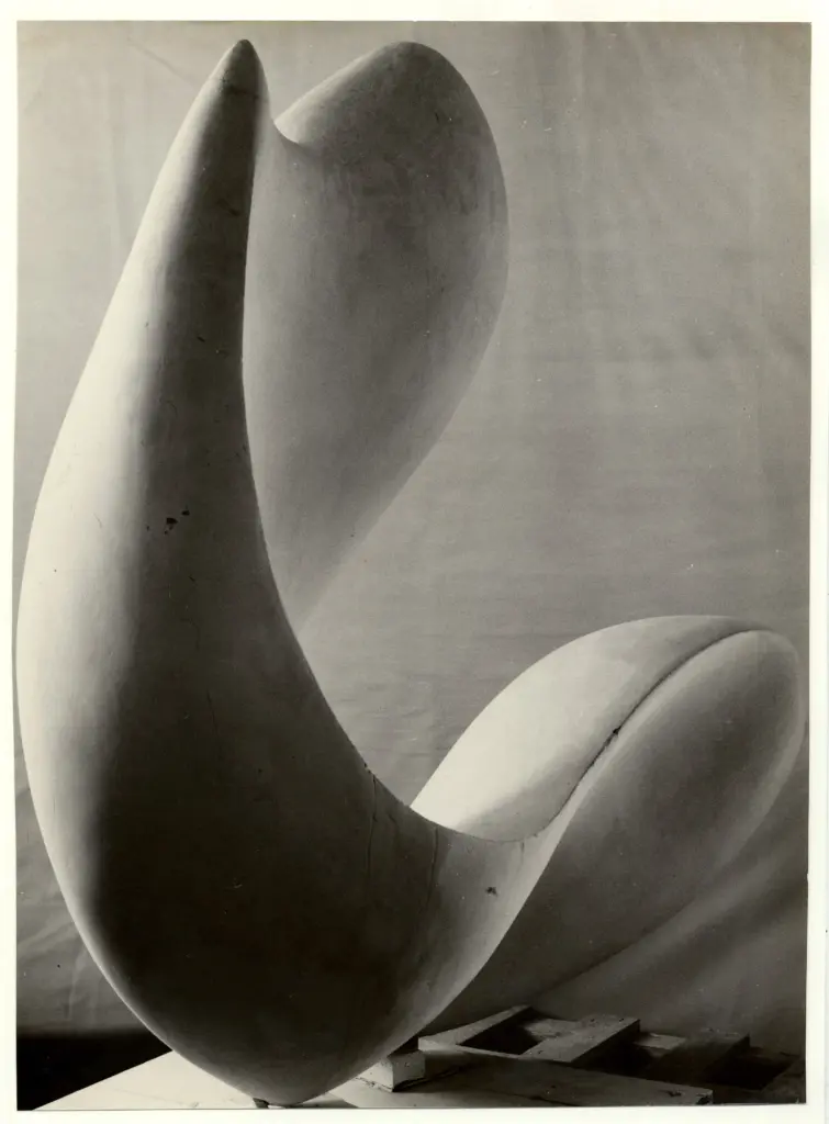 Anonimo, Anonimo , fronte