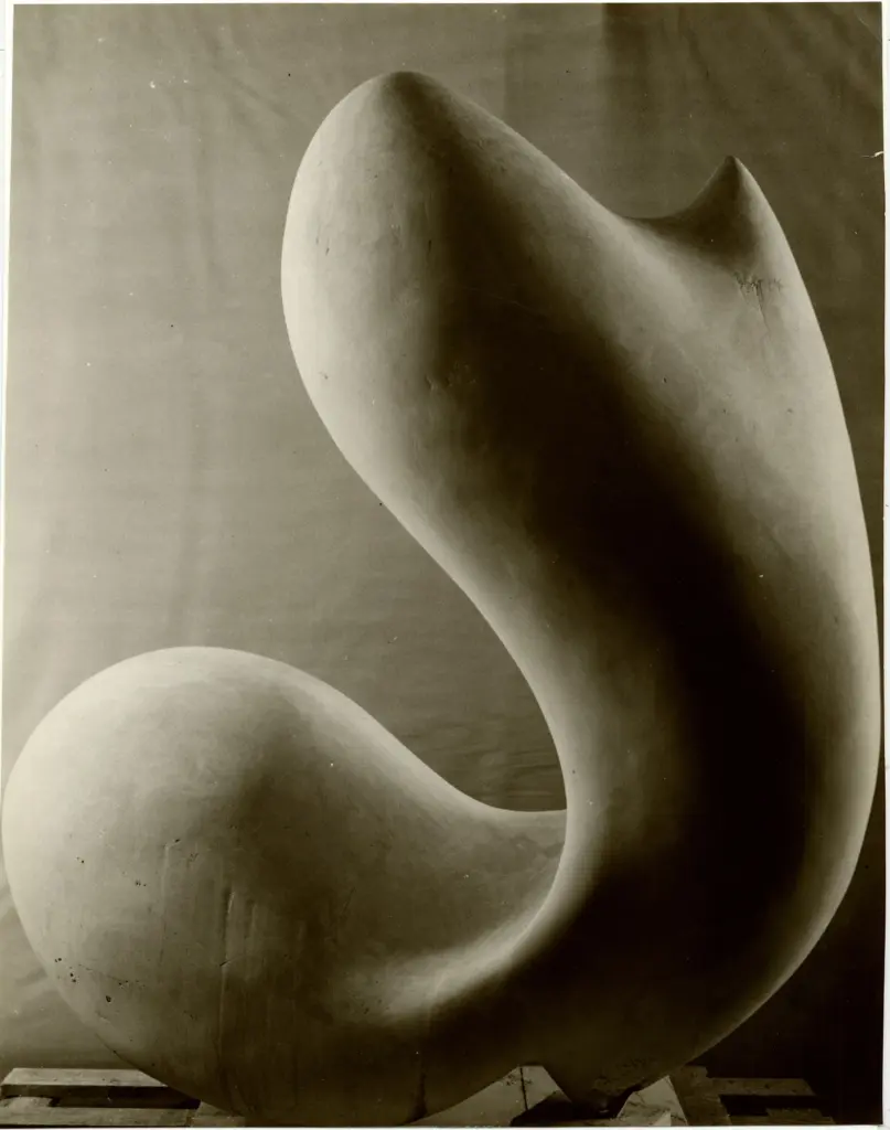 Anonimo, Anonimo , fronte