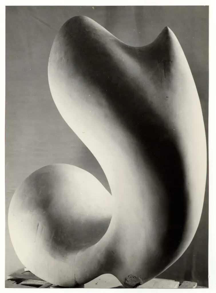 Anonimo, Anonimo , fronte