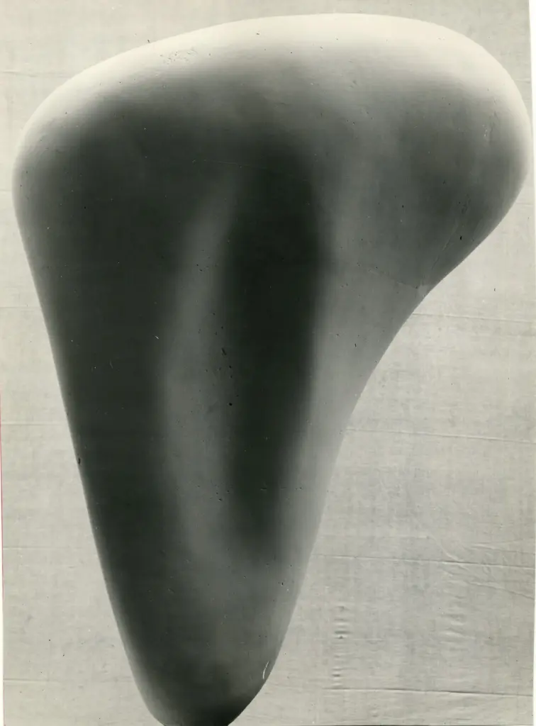 Anonimo, Anonimo , fronte