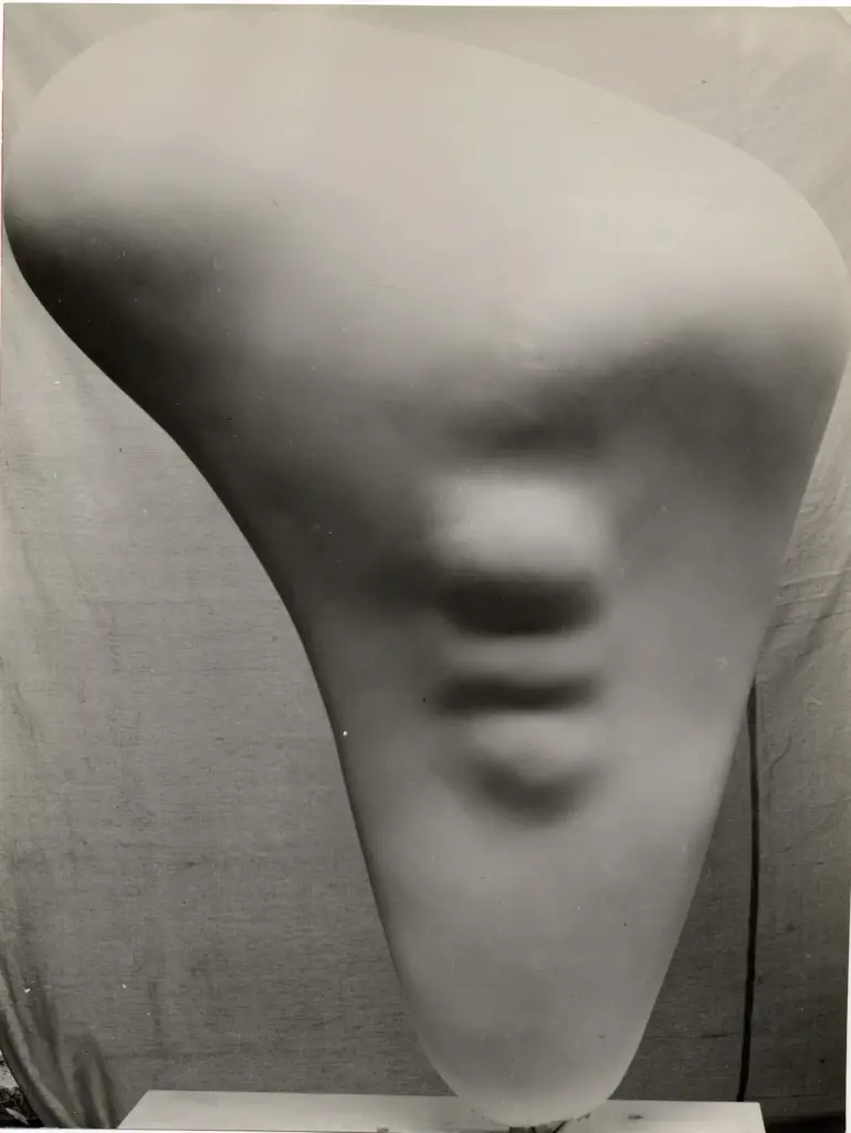 Anonimo, Anonimo , fronte