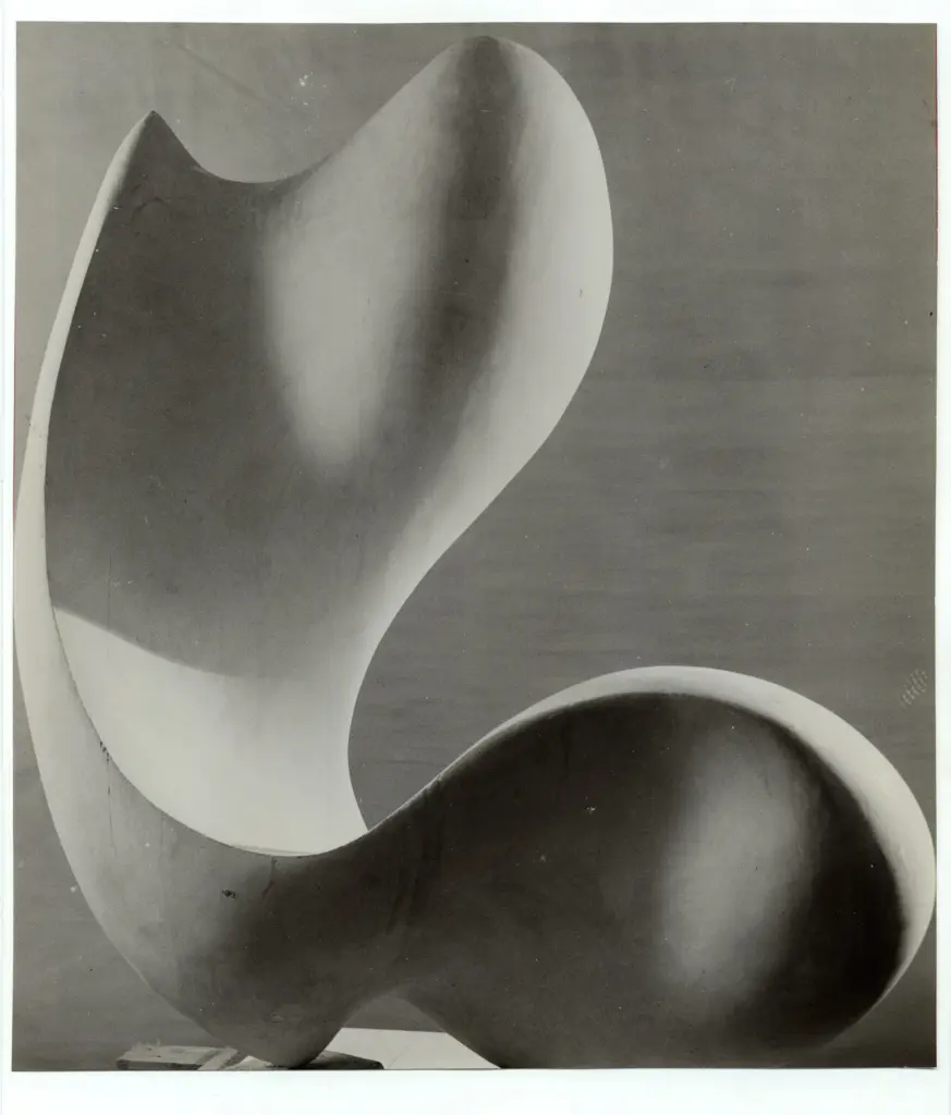 Anonimo, Anonimo , fronte