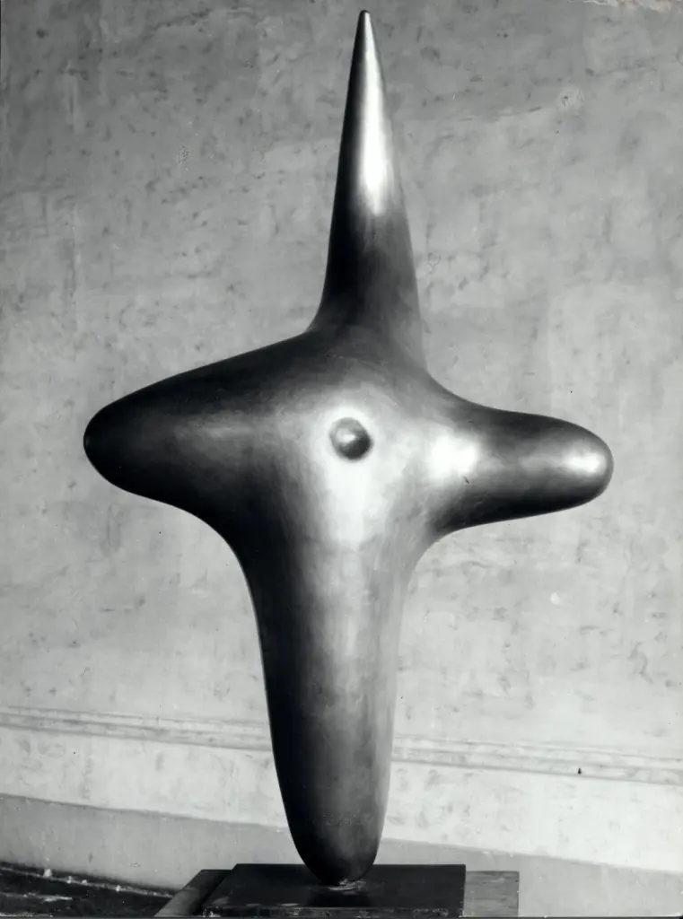 Cameraphoto , fronte