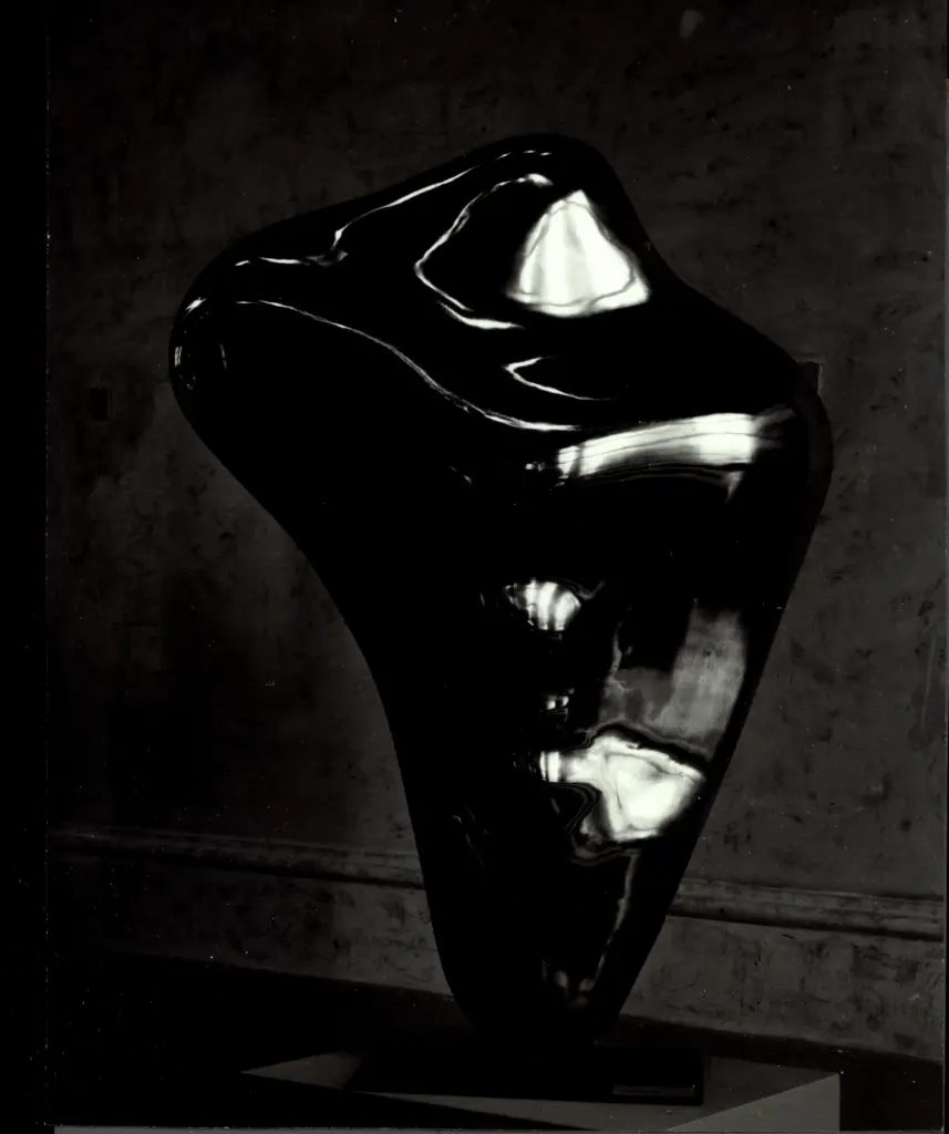 Anonimo, Anonimo , Viani, Alberto - sec. XX -