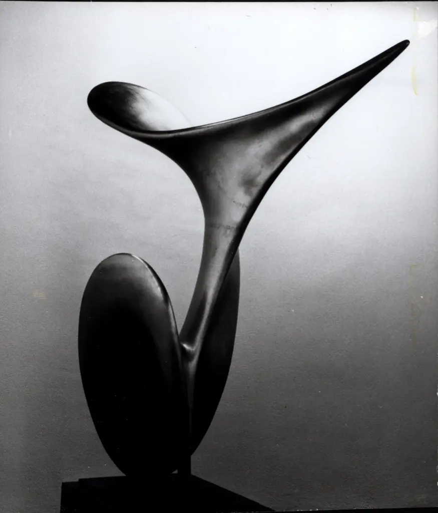 Anonimo, Anonimo , fronte