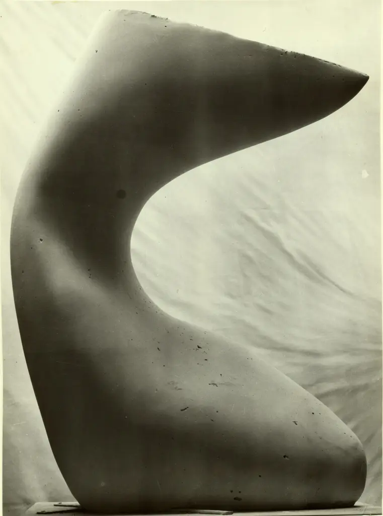 Cameraphoto , fronte