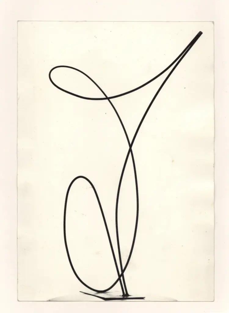 Anonimo, Anonimo , fronte