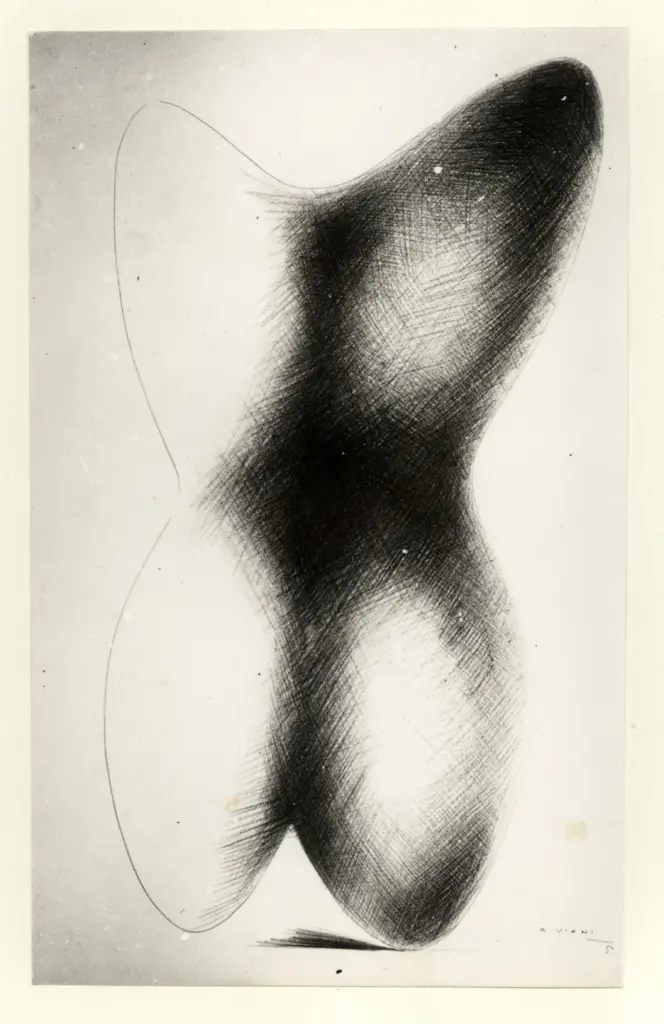 Anonimo, Anonimo , fronte