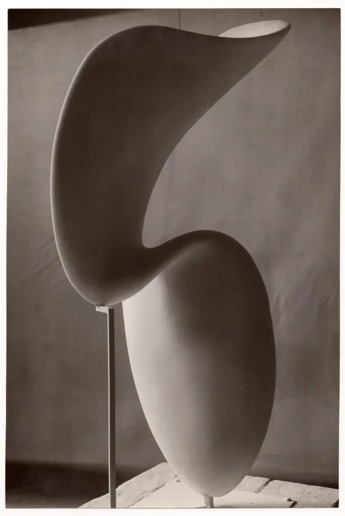 Anonimo, Anonimo , fronte