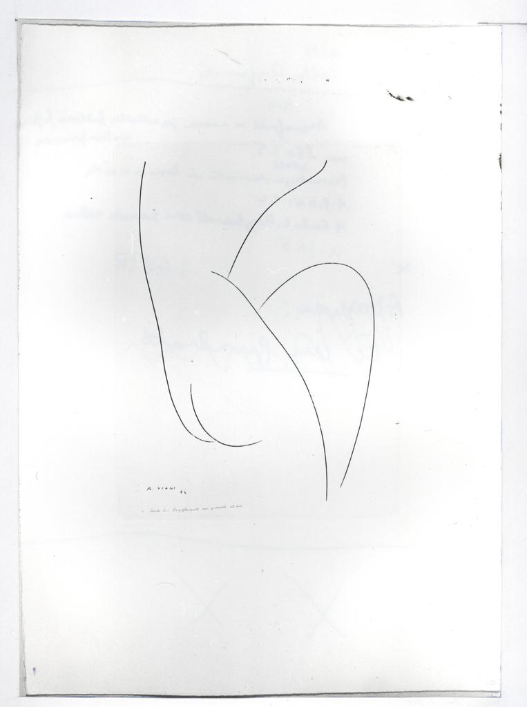 Anonimo , Viani, Alberto - sec. XX - Disegno , fronte