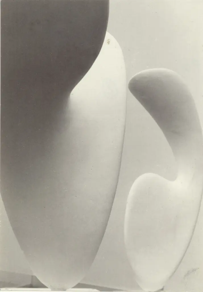 Anonimo, Anonimo , fronte