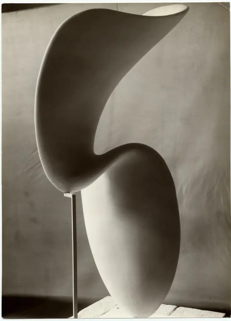 Cameraphoto , fronte