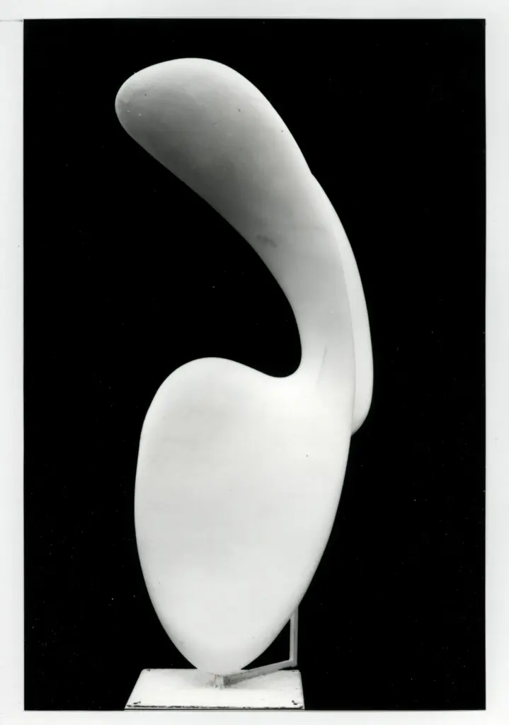 Anonimo, Anonimo , fronte