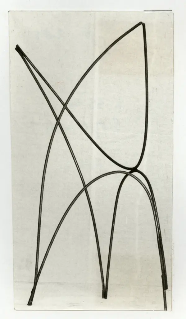 Anonimo , Viani, Alberto - sec. XX - Profilo n. 3