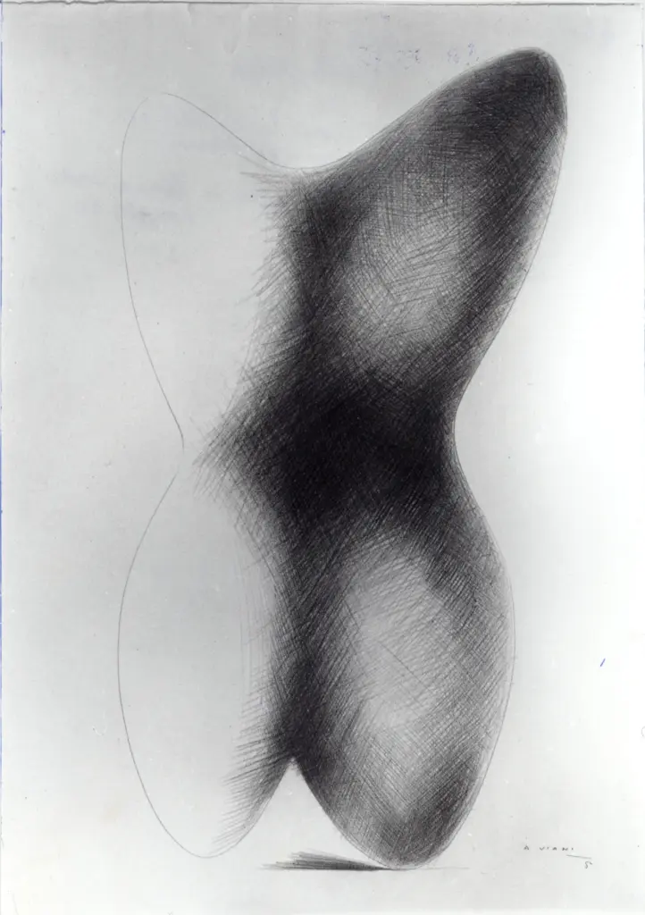 Anonimo , Viani, Alberto - sec. XX - Nudo (Torso femminile)