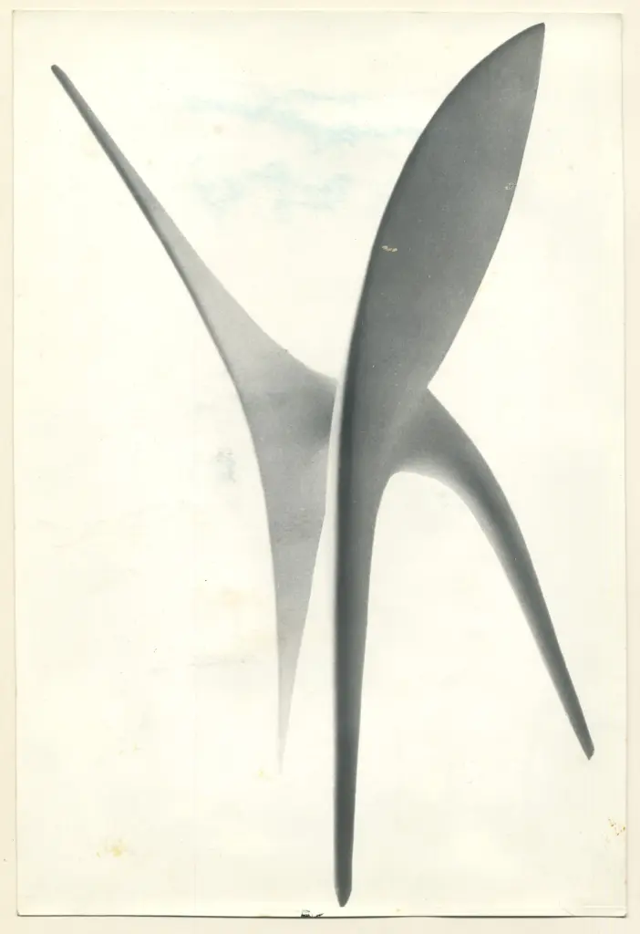 Anonimo, Anonimo , fronte