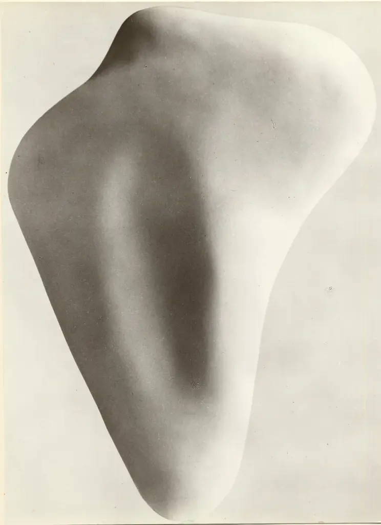 Anonimo, Anonimo , fronte