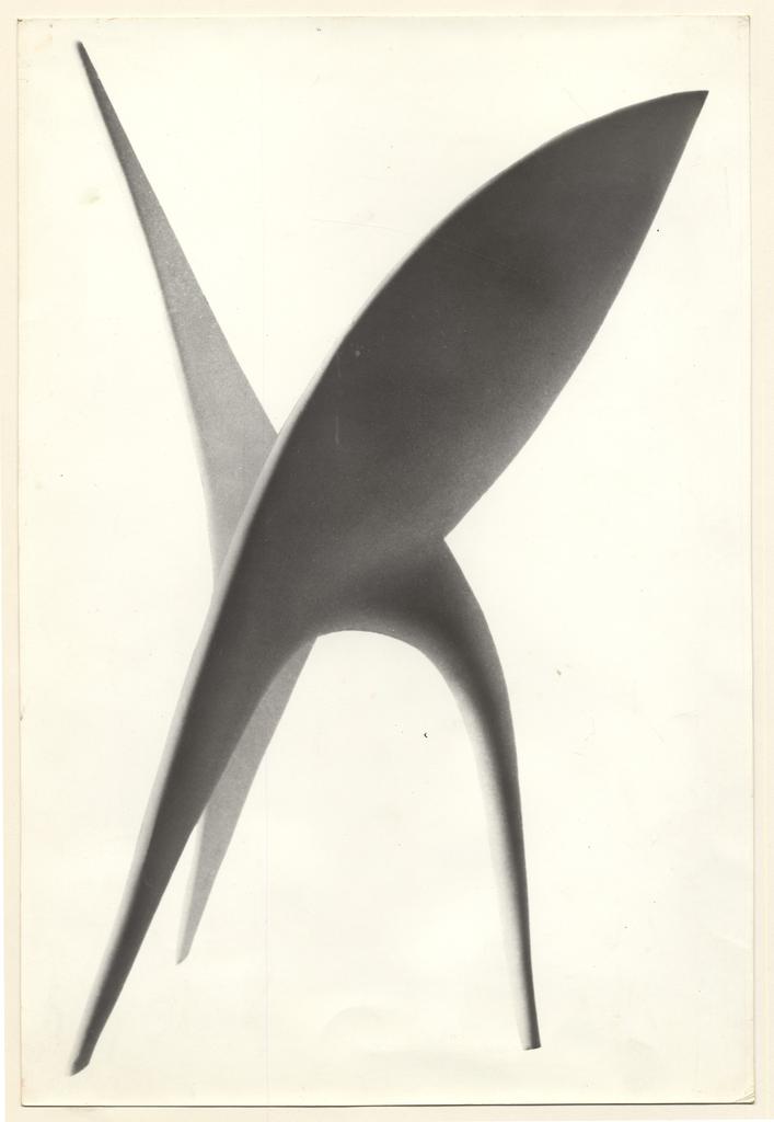 Giacomelli , fronte