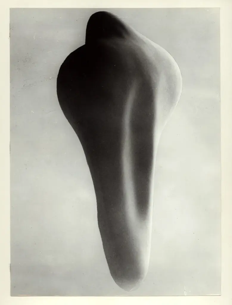 Anonimo, Anonimo , fronte