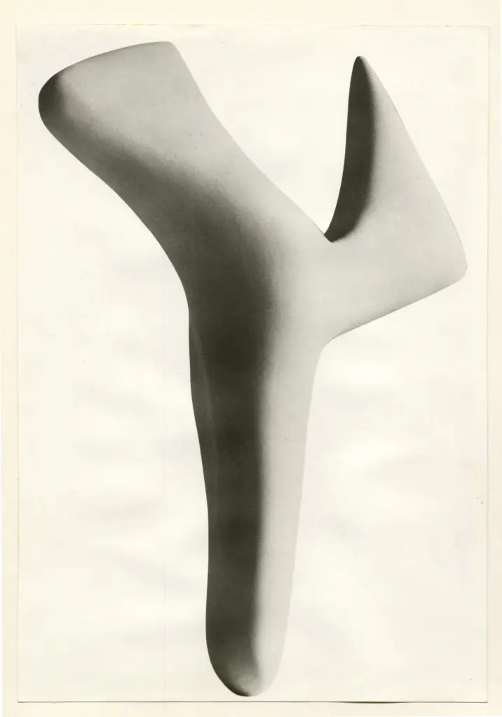 Anonimo, Anonimo , fronte