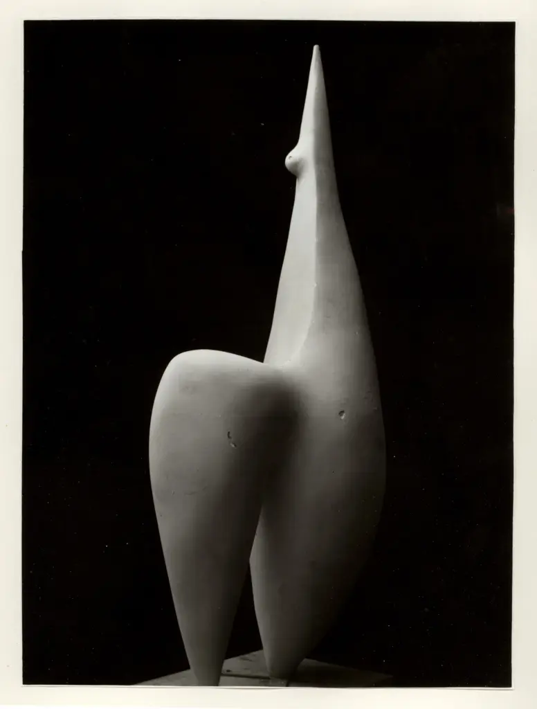 Anonimo, Anonimo , fronte